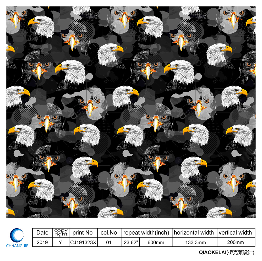 CJ191323X-01 - 副本